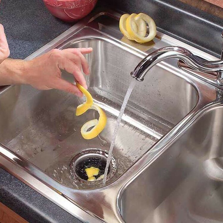 Citrus Peels and Ice Cubes for a Stinky Disposer