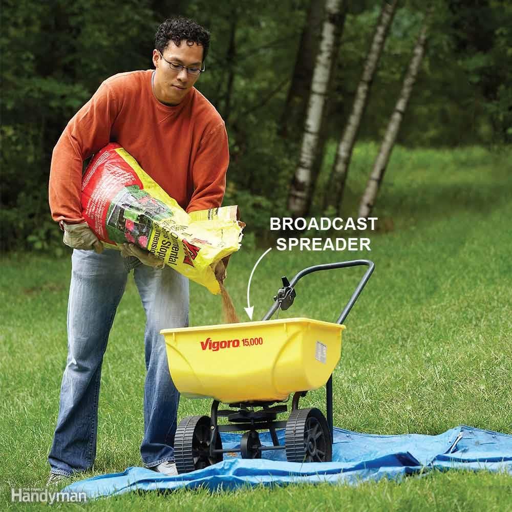 Kill Broadleaf Weeds: Early Season