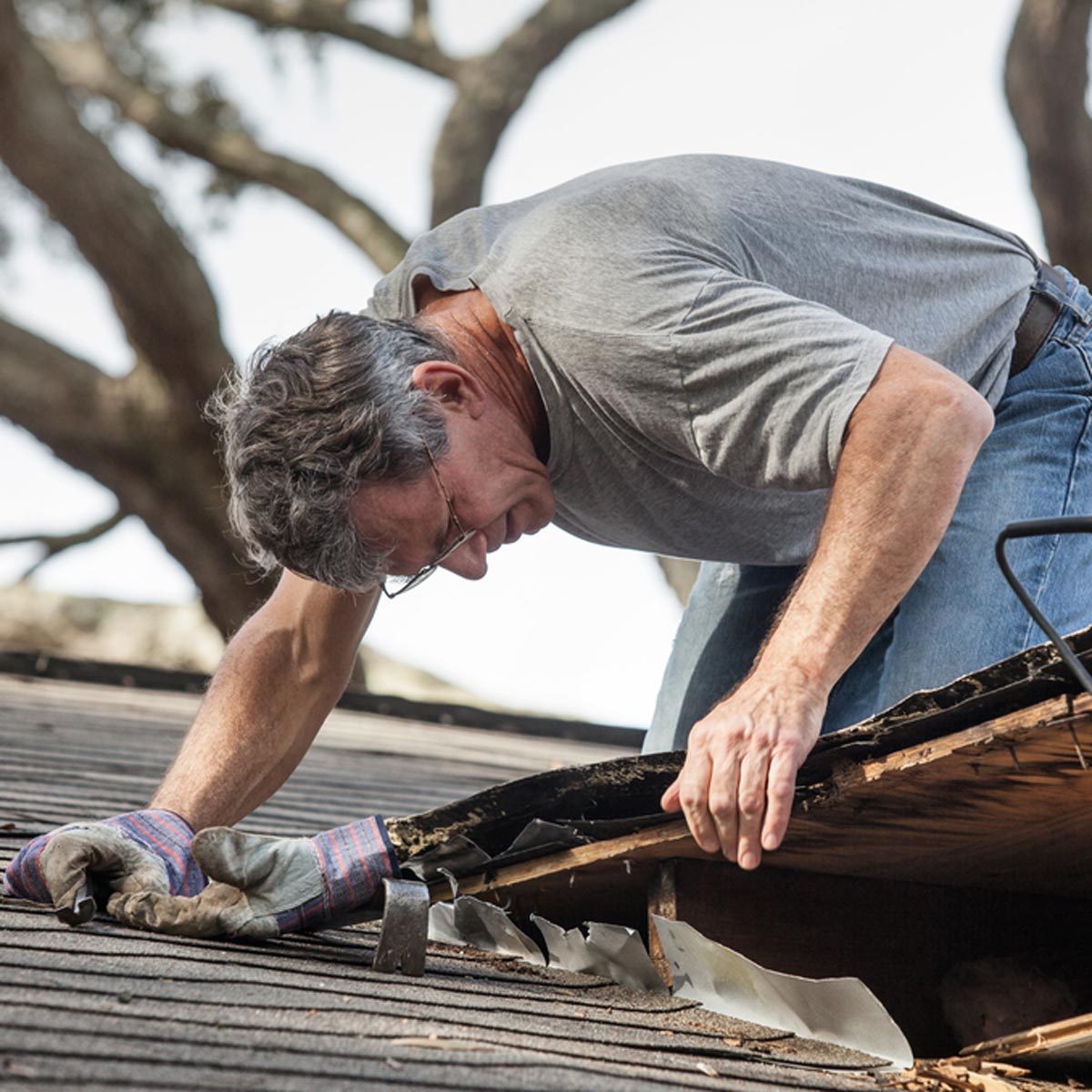 A man in a gray shirt and gloves repairs a damaged roof, inspecting and lifting wooden panels under a tree against a bright sky.