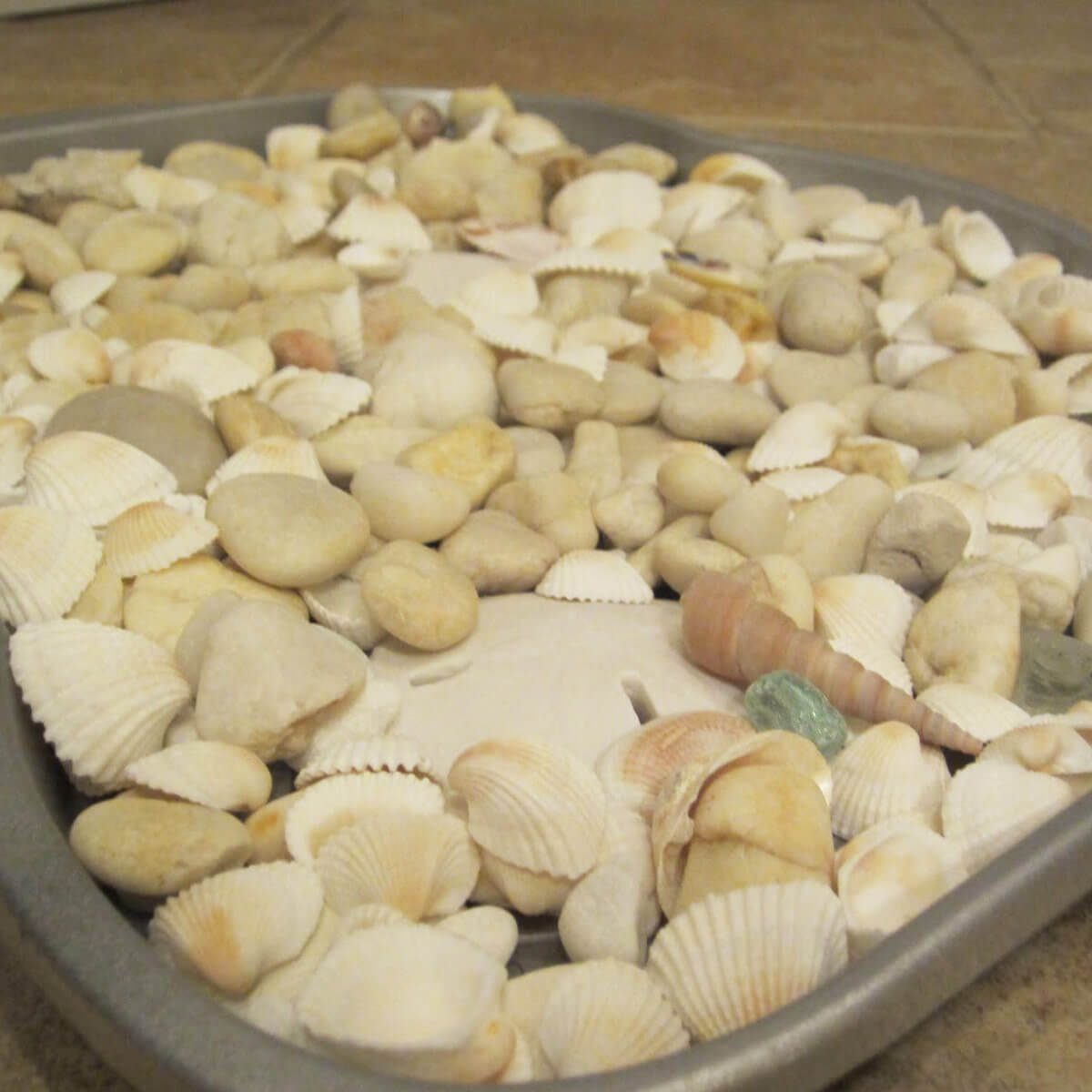 A tray filled with various small shells and stones lies on a flat surface, creating a decorative natural display.