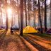10 Things That Are Cheaper in the Fall