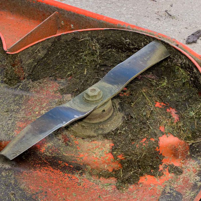 Clogged Mower Deck Gettyimages 1293643150