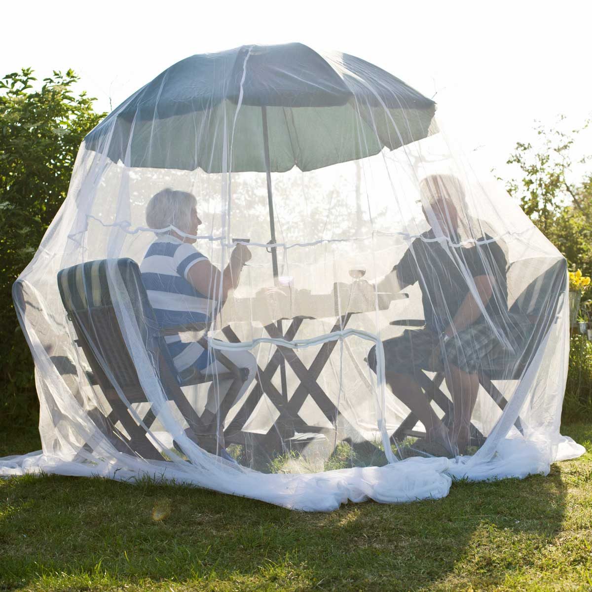 Insect Net Gettyimages 98609835