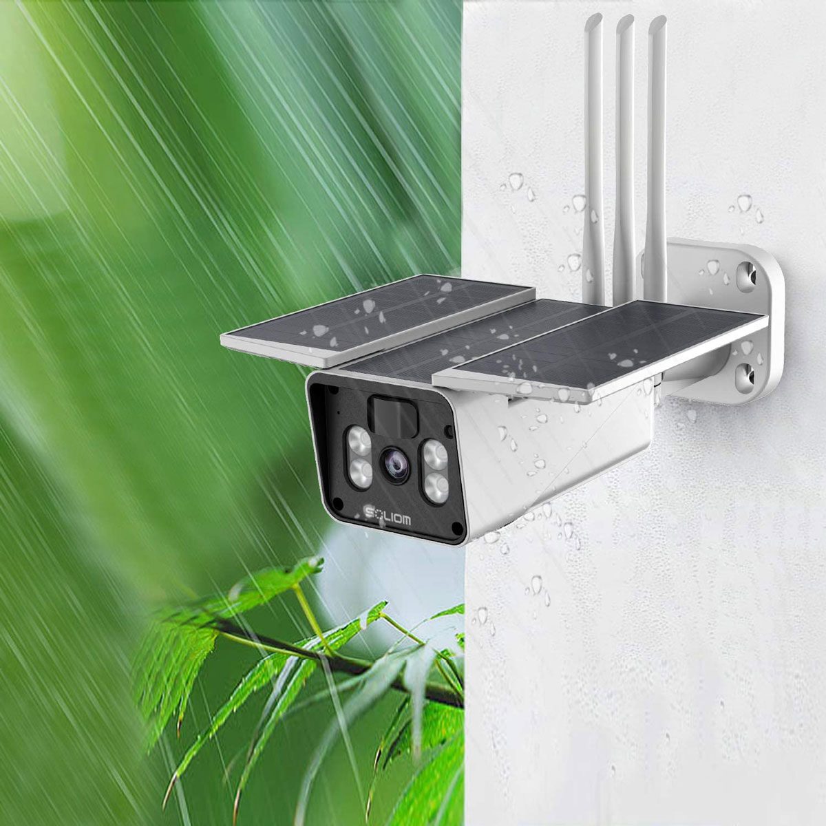 Bird Camera