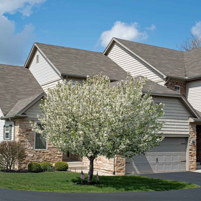 A flowering tree stands in front of a house, with a stone facade and multiple gabled roofs, on a clear, sunny day.