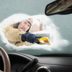 How to Defrost Car Windows