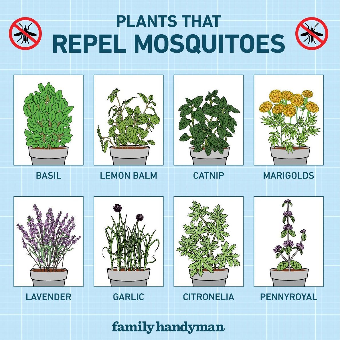 Eight potted plants, labeled with names, are displayed, emphasizing their mosquito-repelling properties against a light blue grid background.