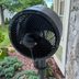 We Tried the New Shark FlexBreeze Fan, and We’re Blown Away