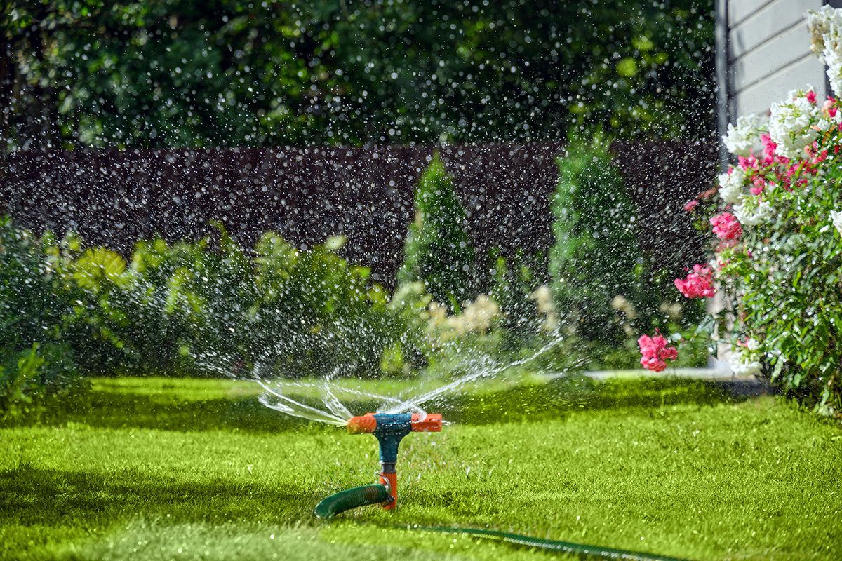 Automatic smart irrigation system. Watering garden with a hose at heat summer on backyard. Outdoors. Close up.